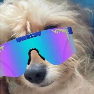 Meet your Posher, Chassidy